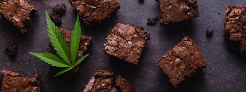 cbd-brownies